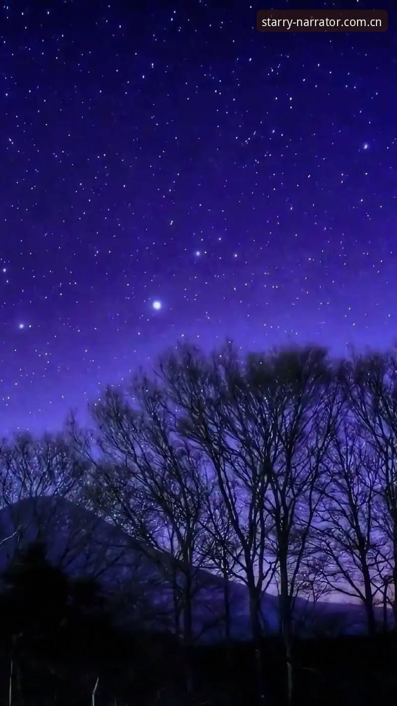 星空体育平台的夜色叙事者CN登录页，用了才知道好在哪？